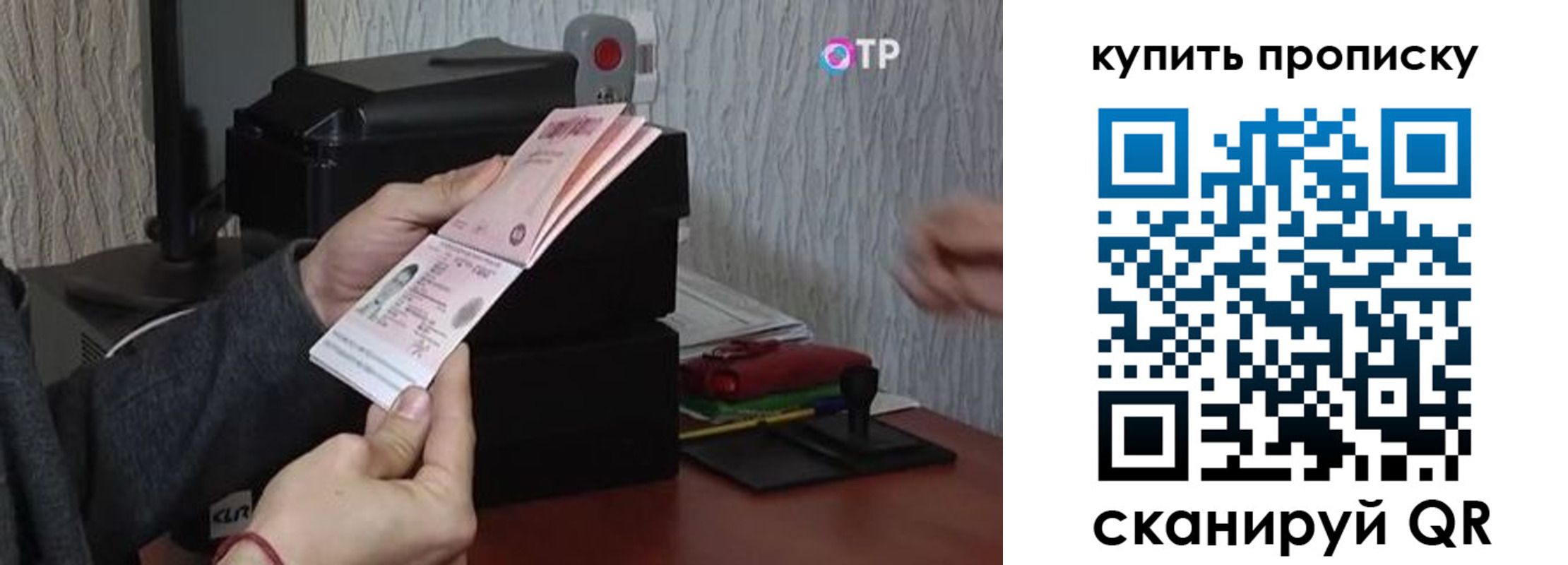 прописка гарантия в Шадринске